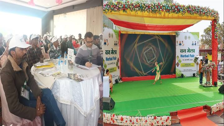 अलीराजपुर के दाल-पनिया का स्वाद लोगों को खूब भाया